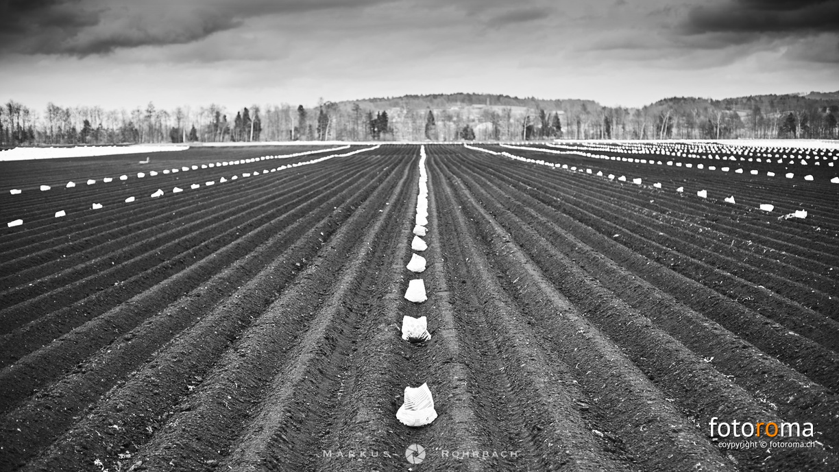 Fieldwork flickr-41036077742.jpg