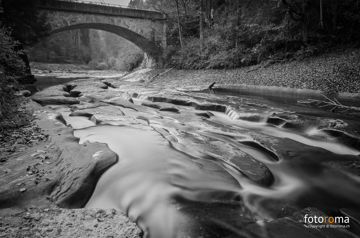 RM-2015.10.31-0876-2.jpg - flickr-22645249536.jpg flickr-22645249536.jpg