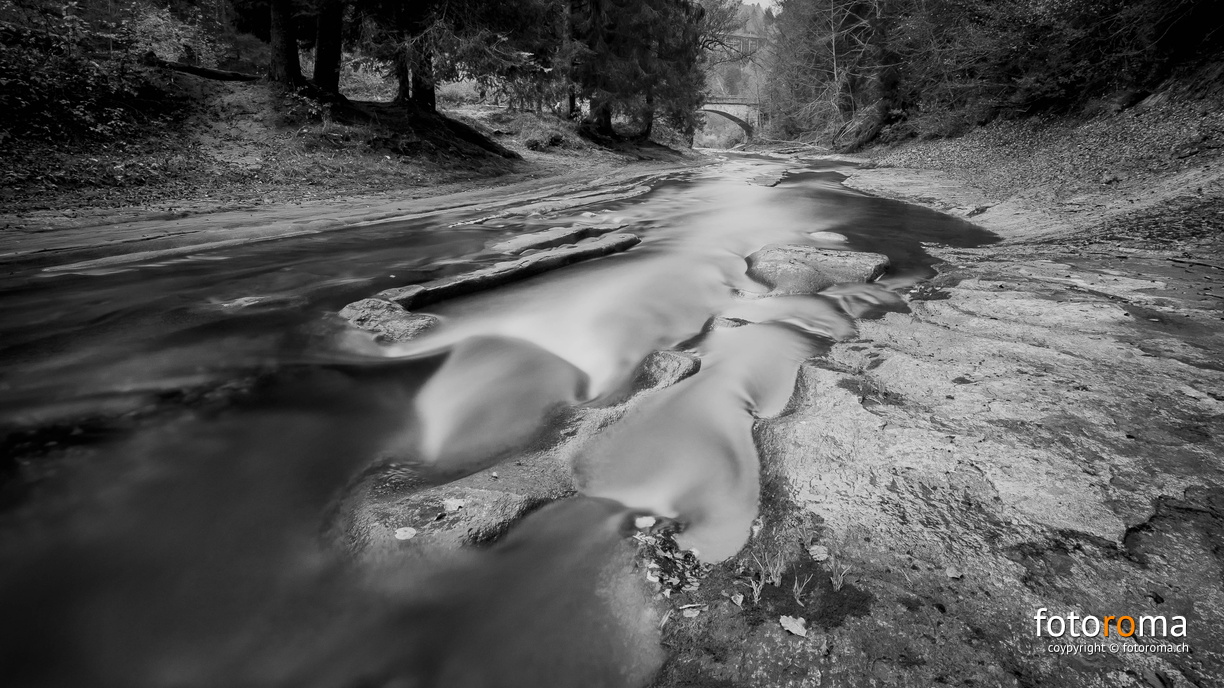 RM-2015.10.31-0870-2.jpg - flickr-22483301740.jpg flickr-22483301740.jpg