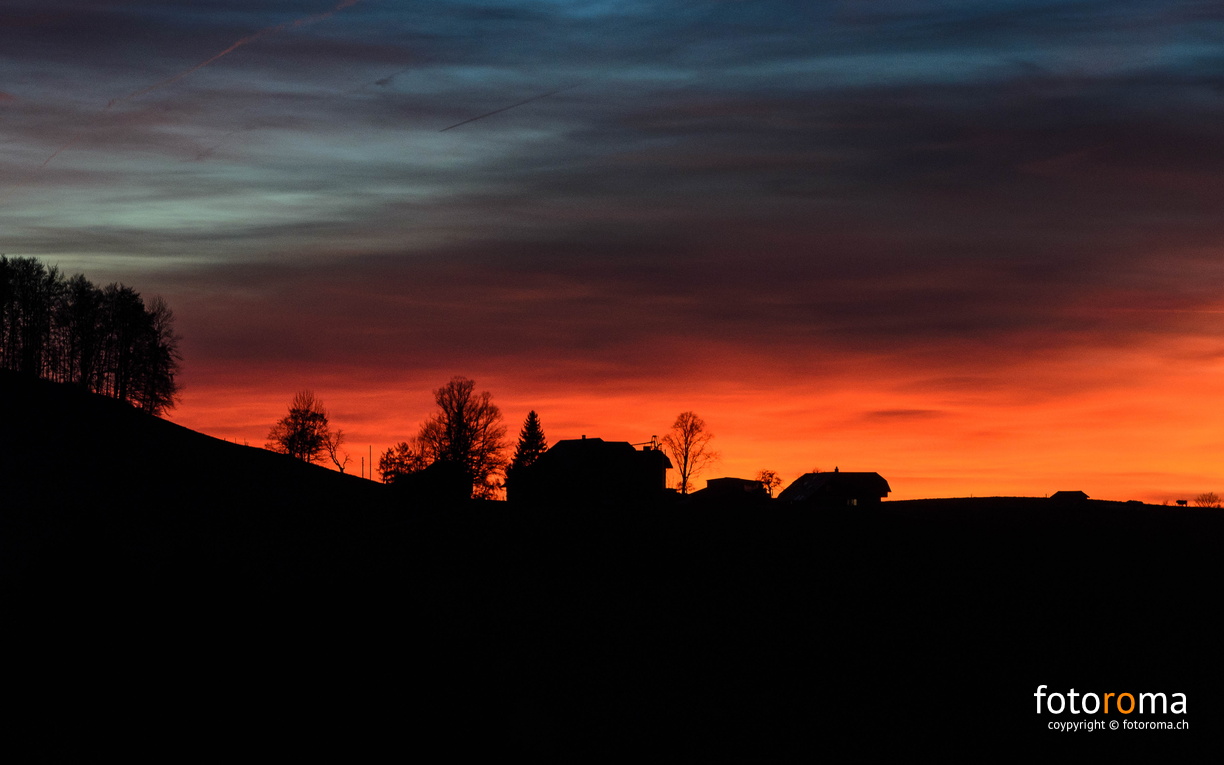 RM-2015.11.10-0896.jpg - flickr-22535967129.jpg flickr-22535967129.jpg