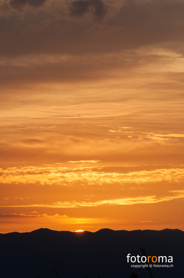 RM-2015.07.30-0593 - flickr-20472749421.jpg flickr-20472749421.jpg