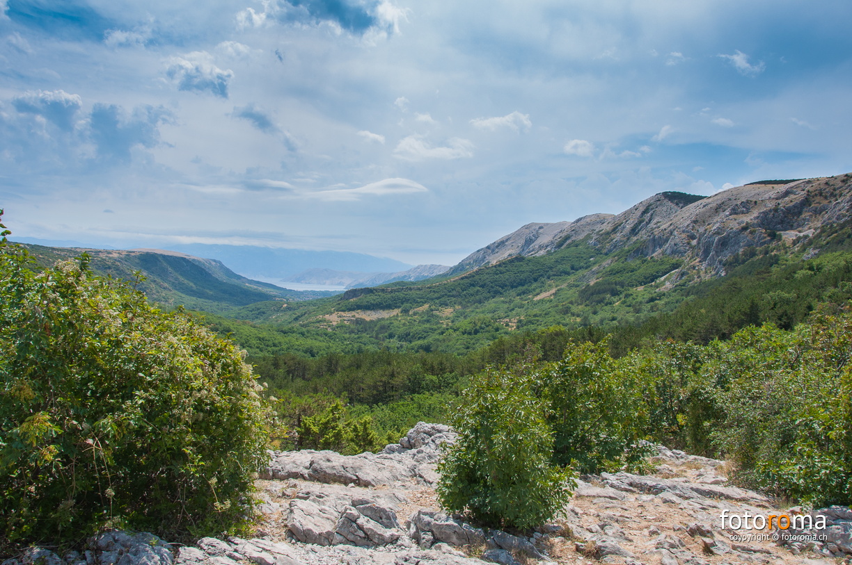 RM-2015.07.26-0523 - flickr-19843993054.jpg flickr-19843993054.jpg