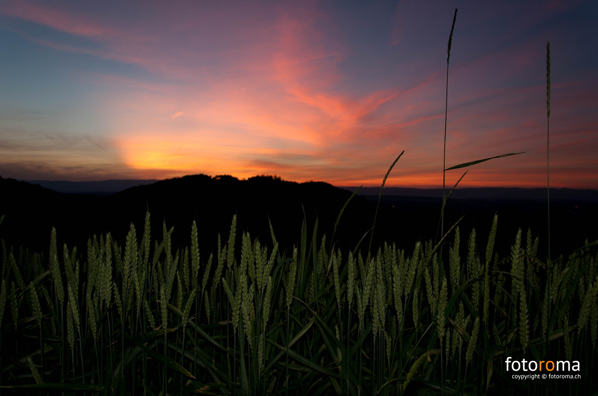 RM-2015.06.25-0382.jpg - flickr-19091331239.jpg flickr-19091331239.jpg