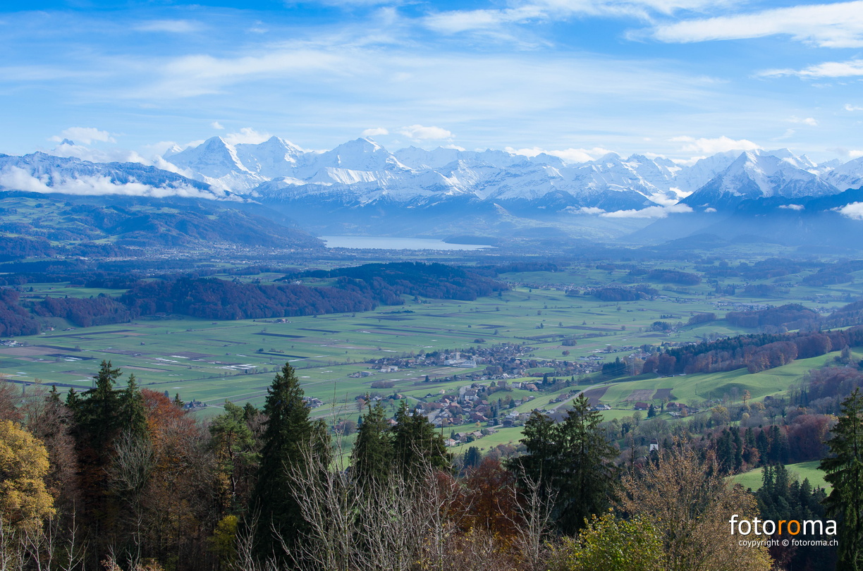 RM-2014.11.16-0610.jpg - flickr-16807924504.jpg flickr-16807924504.jpg