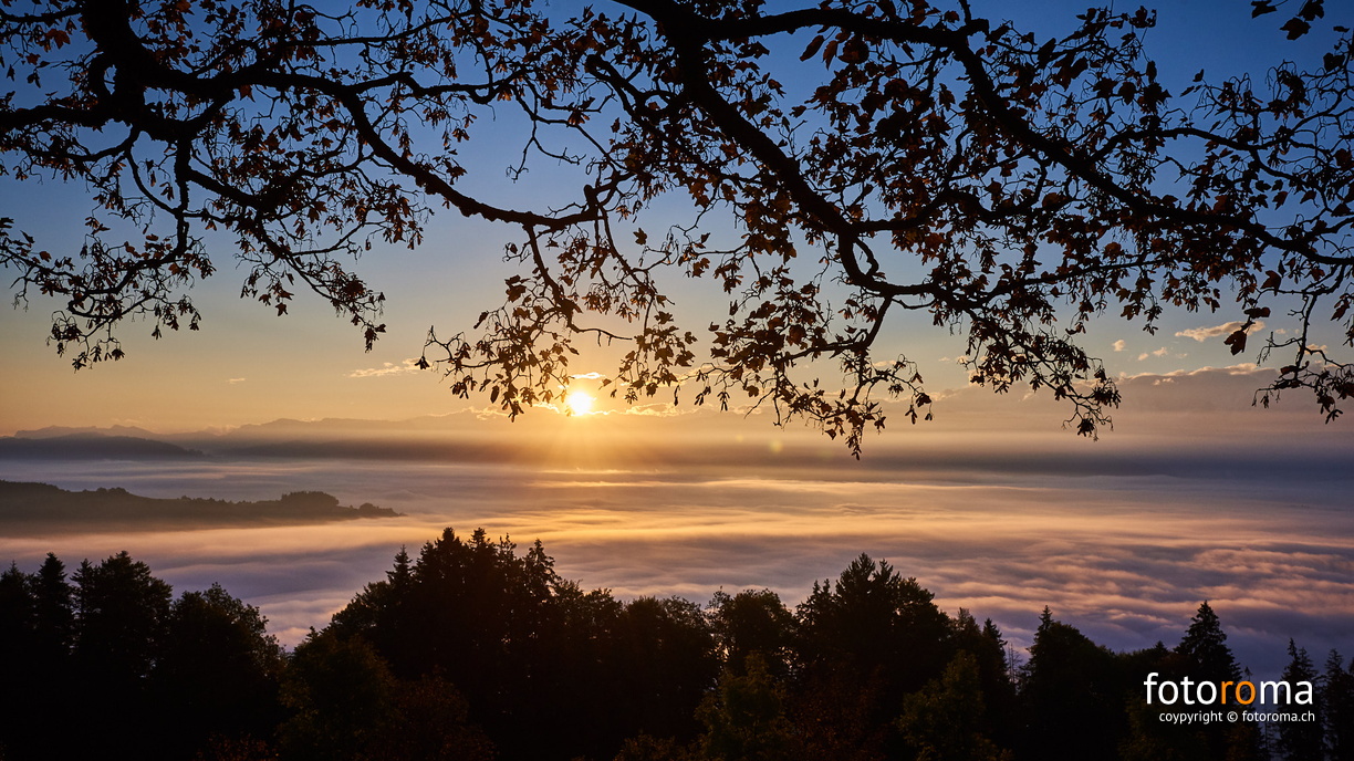 RM-2018.10.10-0689 - flickr-45251256971.jpg flickr-45251256971.jpg