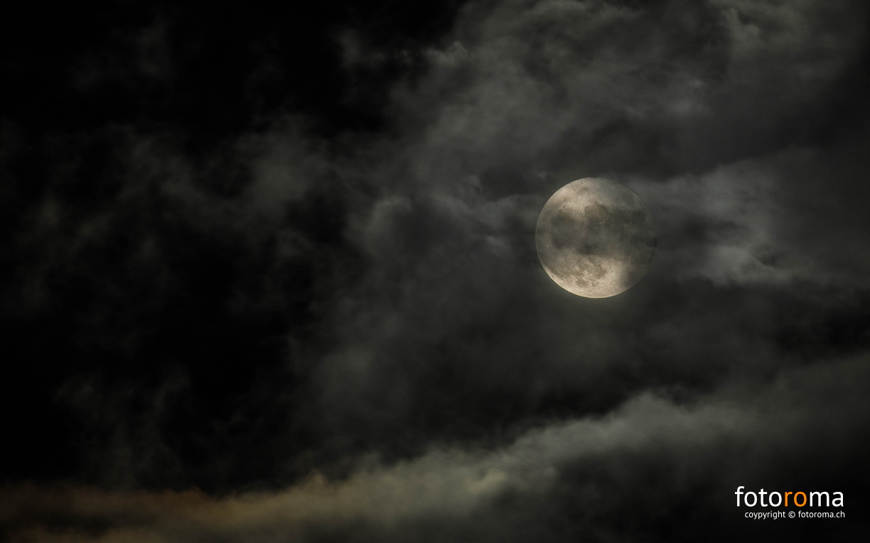 RM-2015.11.26-0902.jpg - flickr-23663740052.jpg flickr-23663740052.jpg