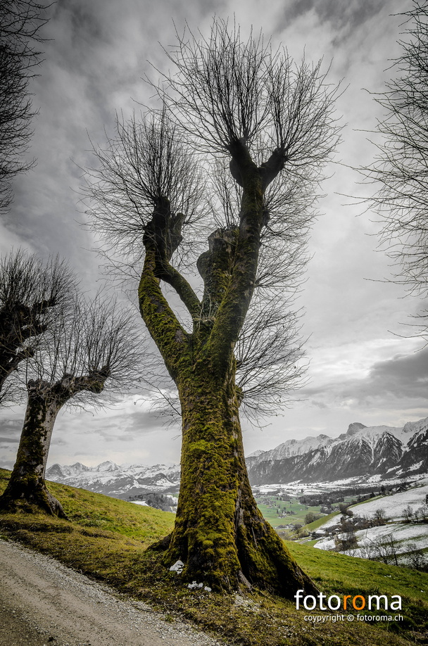 RM-2016.02.13-0109.jpg - flickr-24887173492.jpg flickr-24887173492.jpg