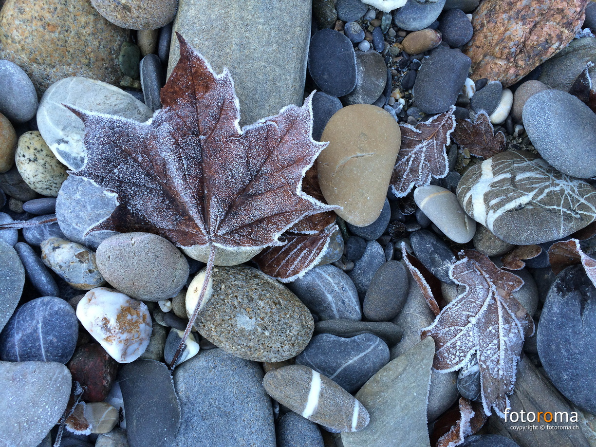 RM-2015.12.27-0940.jpg - flickr-24044812676.jpg flickr-24044812676.jpg