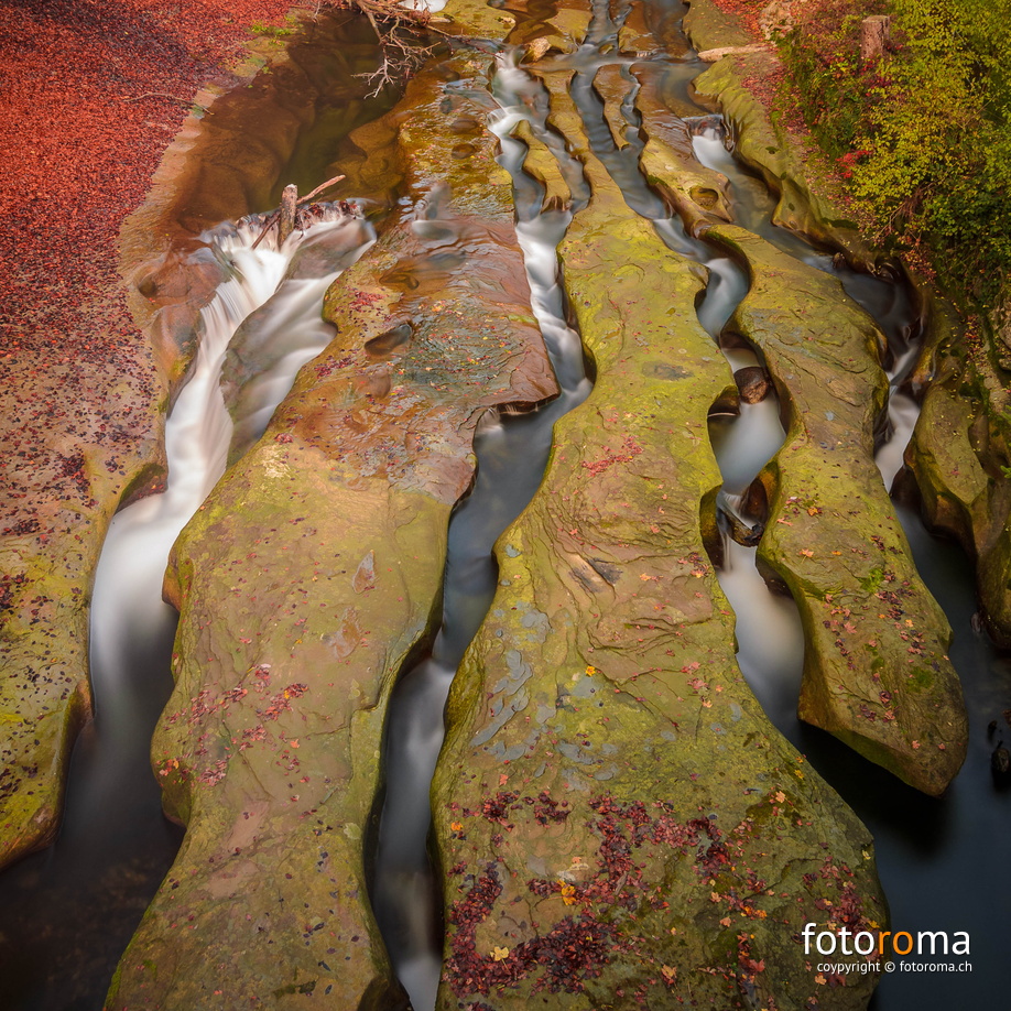 RM-2015.10.31-0878.jpg - flickr-22682445601.jpg flickr-22682445601.jpg