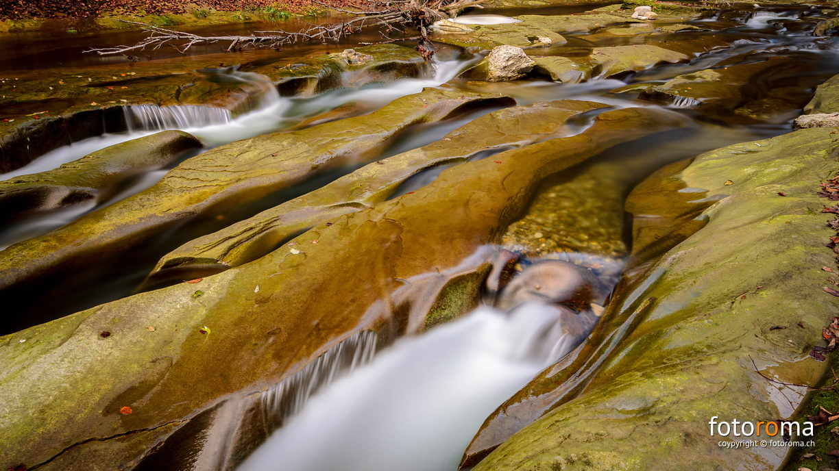 RM-2015.10.31-0874.jpg - flickr-22048484904.jpg flickr-22048484904.jpg