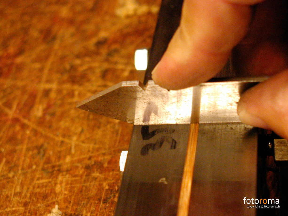 OLYMPUS DIGITAL CAMERA RM-2003.08.05-0081.jpg