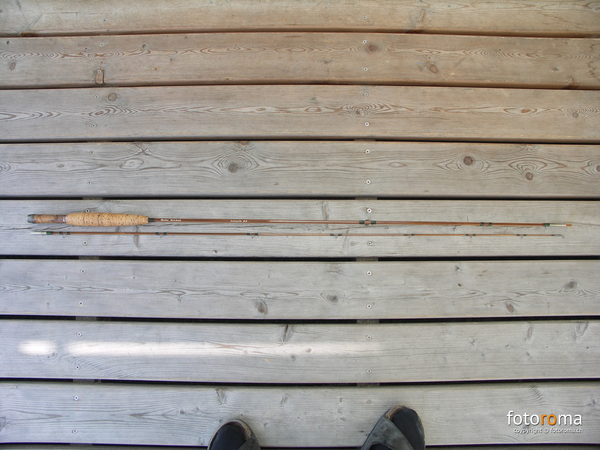 KONICA MINOLTA DIGITAL CAMERA RM-2011.05.05-0211.jpg