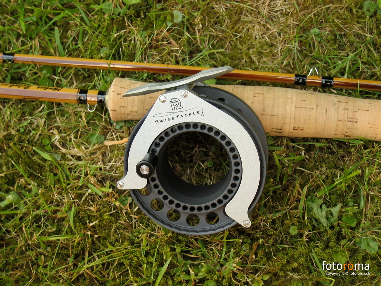 116_1667 - RM-2005.06.12-0216.jpg RM-2005.06.12-0216.jpg