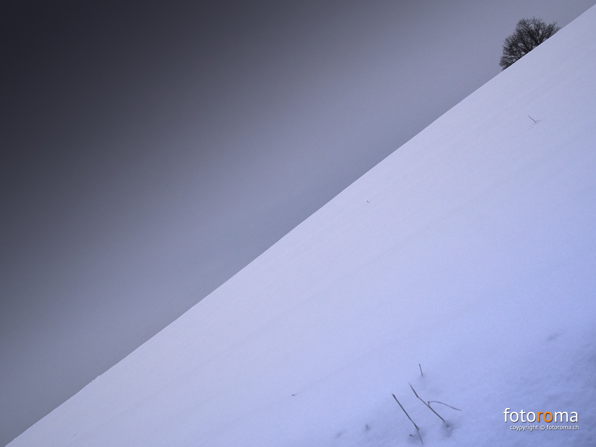 Radikal diagonal
	Winterliche Abendstimmung
 RM-2019-365-11.jpg