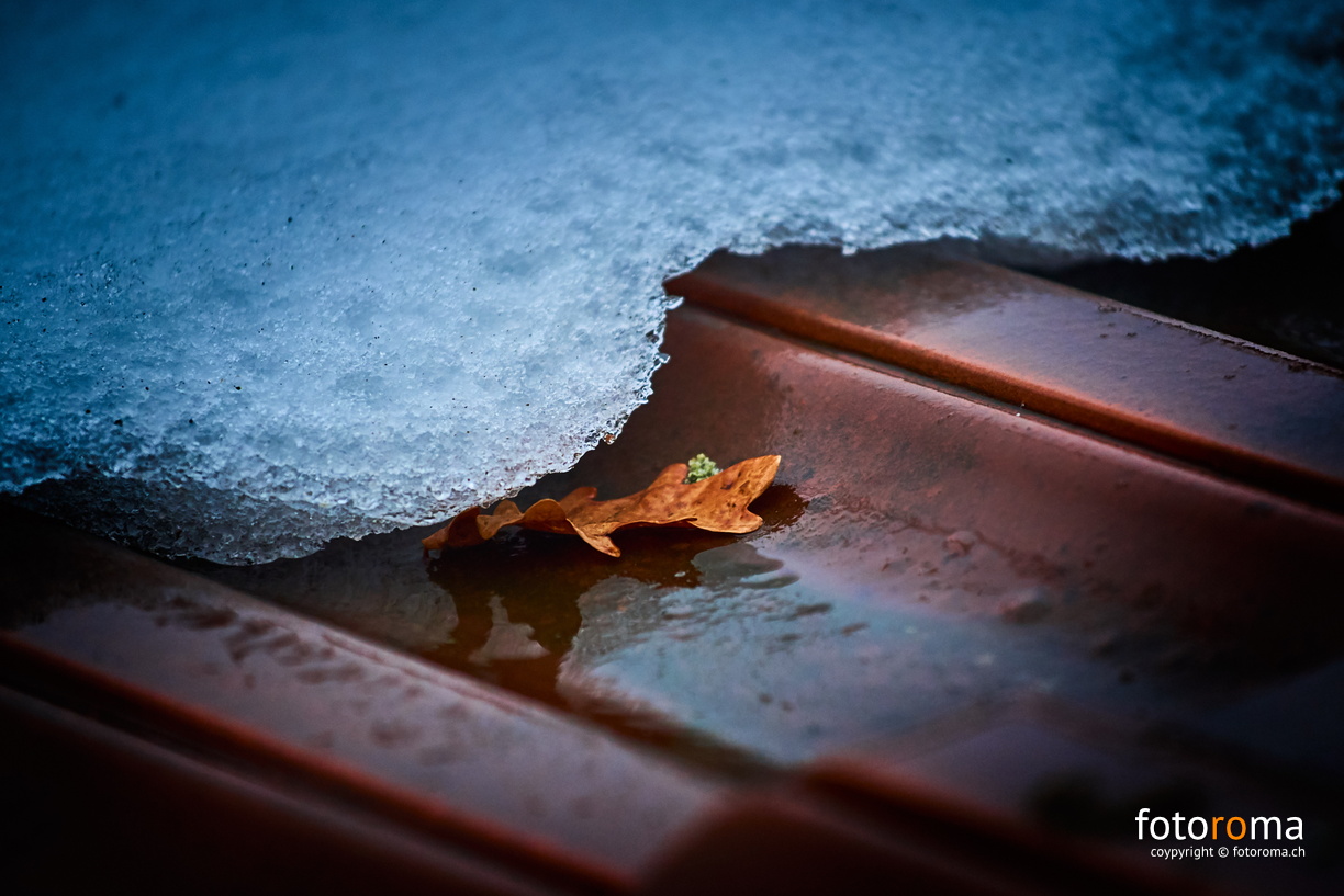 Herbst und Winter
RM-2019-365-41.jpg