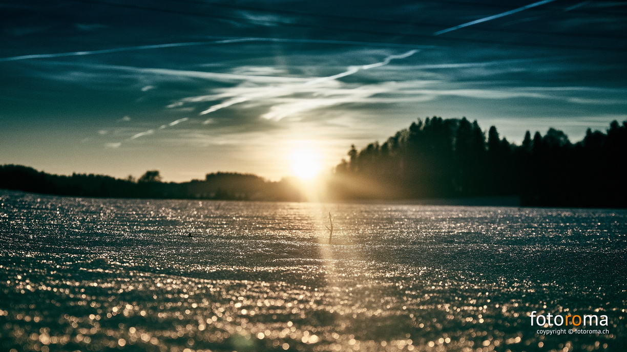 One million reflections
 RM-2019-365-49.jpg