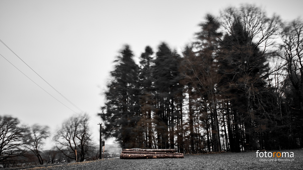 Windy Day
 RM-2019-365-73.jpg