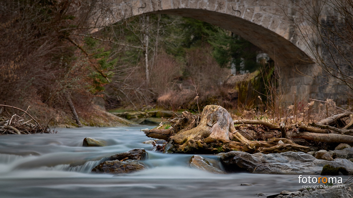 Schwemmholz
Schwarzwasser
RM-2019-365-76.jpg