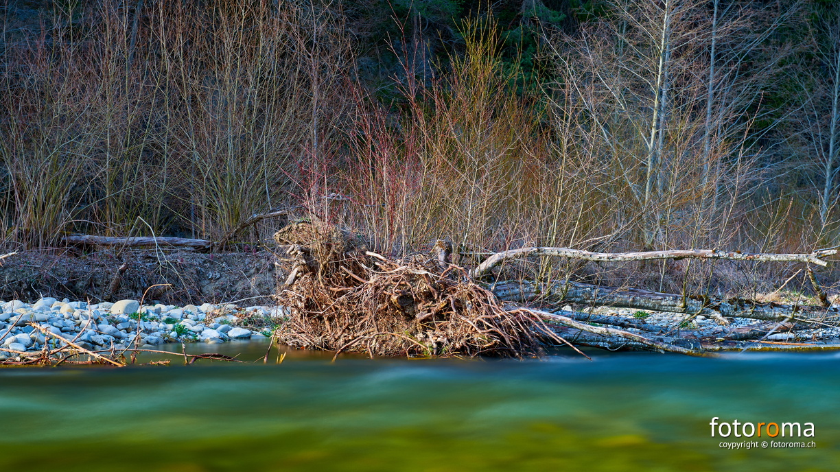 Ufergehölz
An der Sense
RM-2019-365-91.jpg