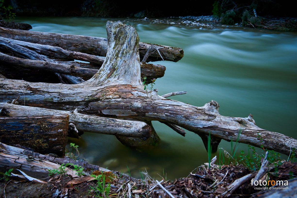 Schwemmholz
	Sense
 RM-2019-365-132.jpg