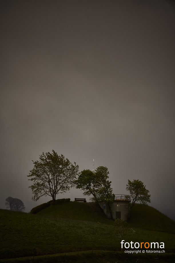 Grey day
	Almithubel-Wasserreservoir
 RM-2019-365-140.jpg