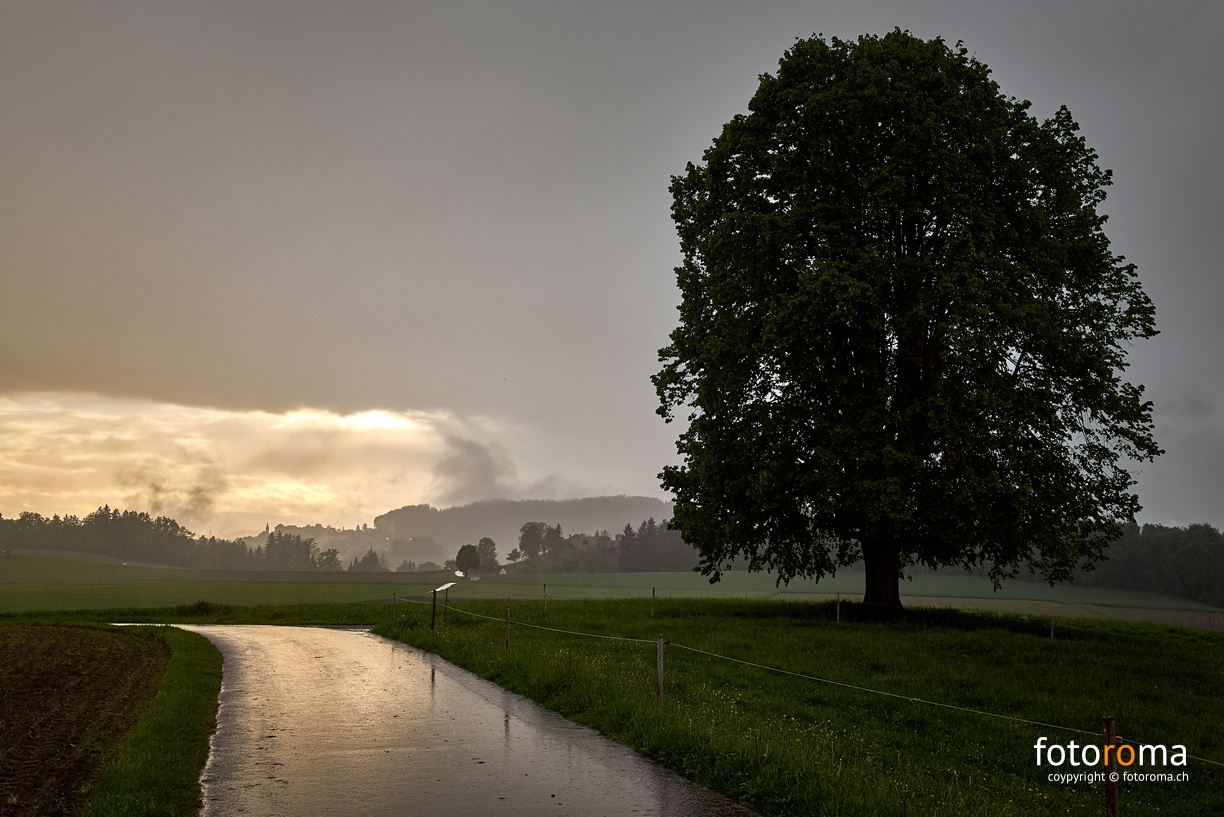 Lichtblick
RM-2019-365-148.jpg