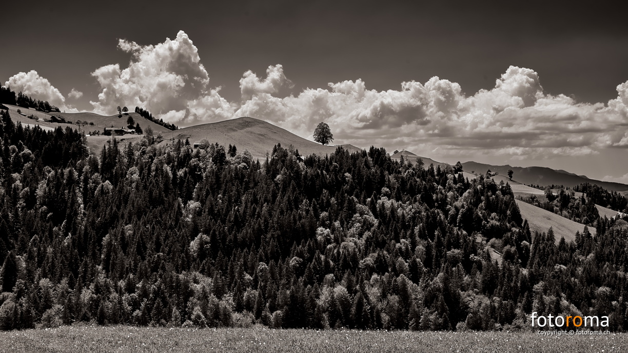 Aussereriz
 RM-2019-365-153.jpg