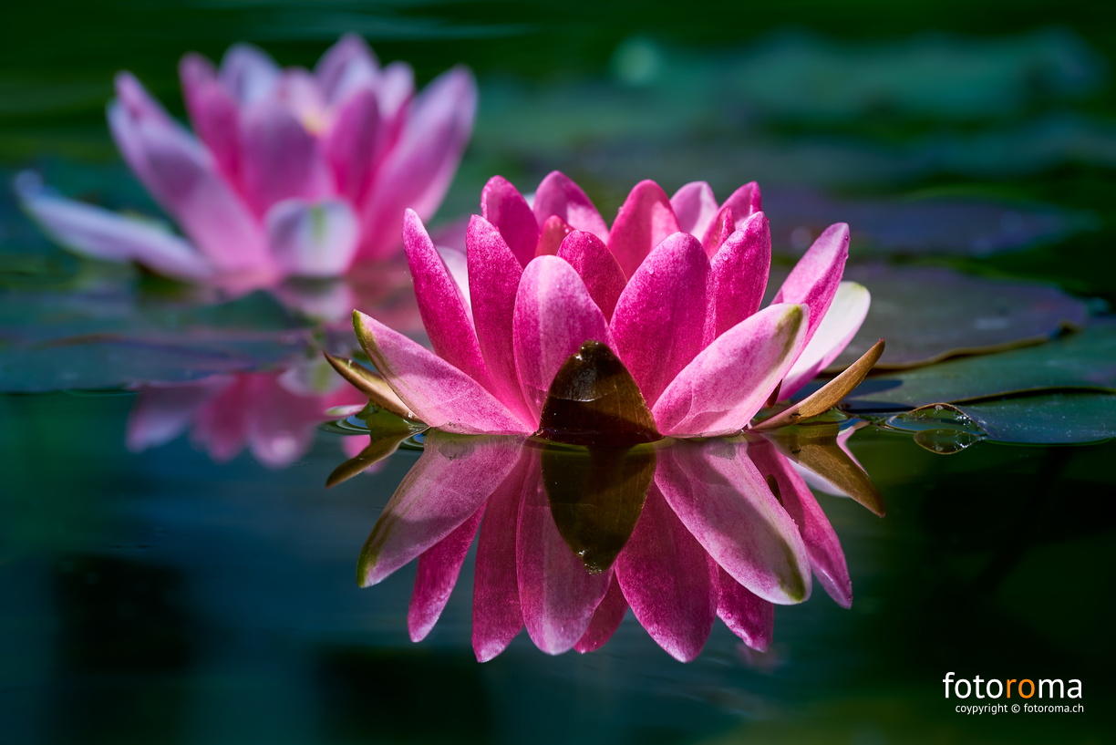 Wasserspiegel
 RM-2019-365-159.jpg