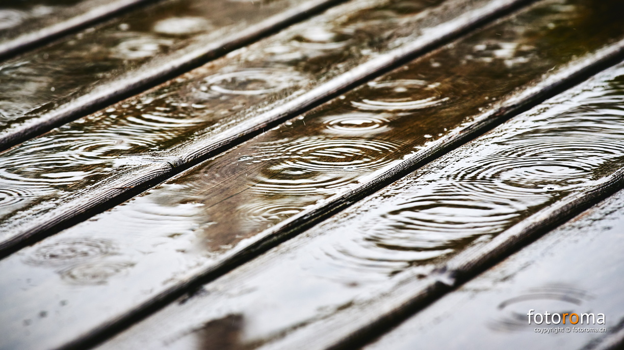 Rainy day
 RM-2019-365-161.jpg