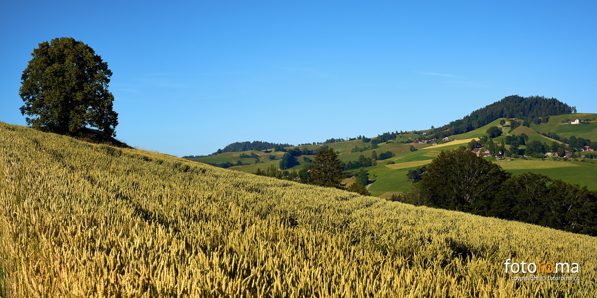 Hienache u änet em Schwarzwasser
 RM-2019-365-191.jpg