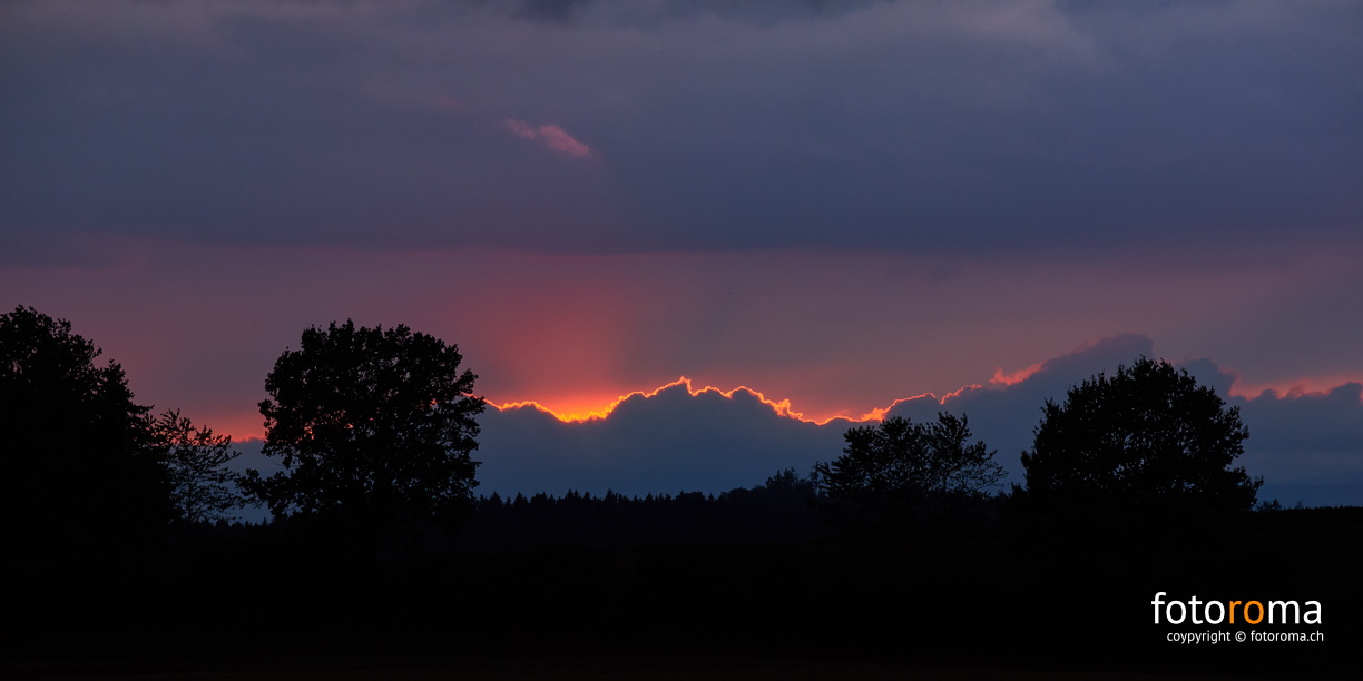 Silhouettes
 RM-2019-365-195.jpg