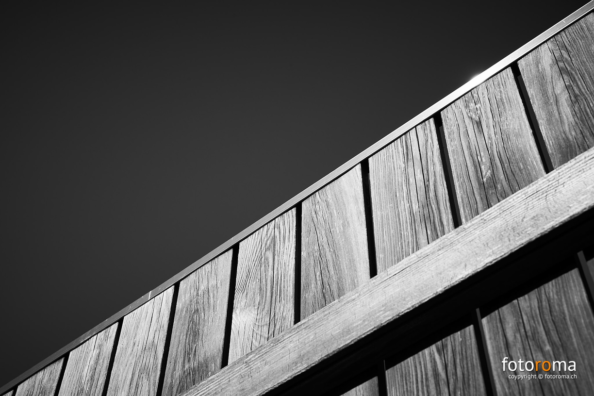 Hinter dem Zaun
RM-2019-365-238.jpg
