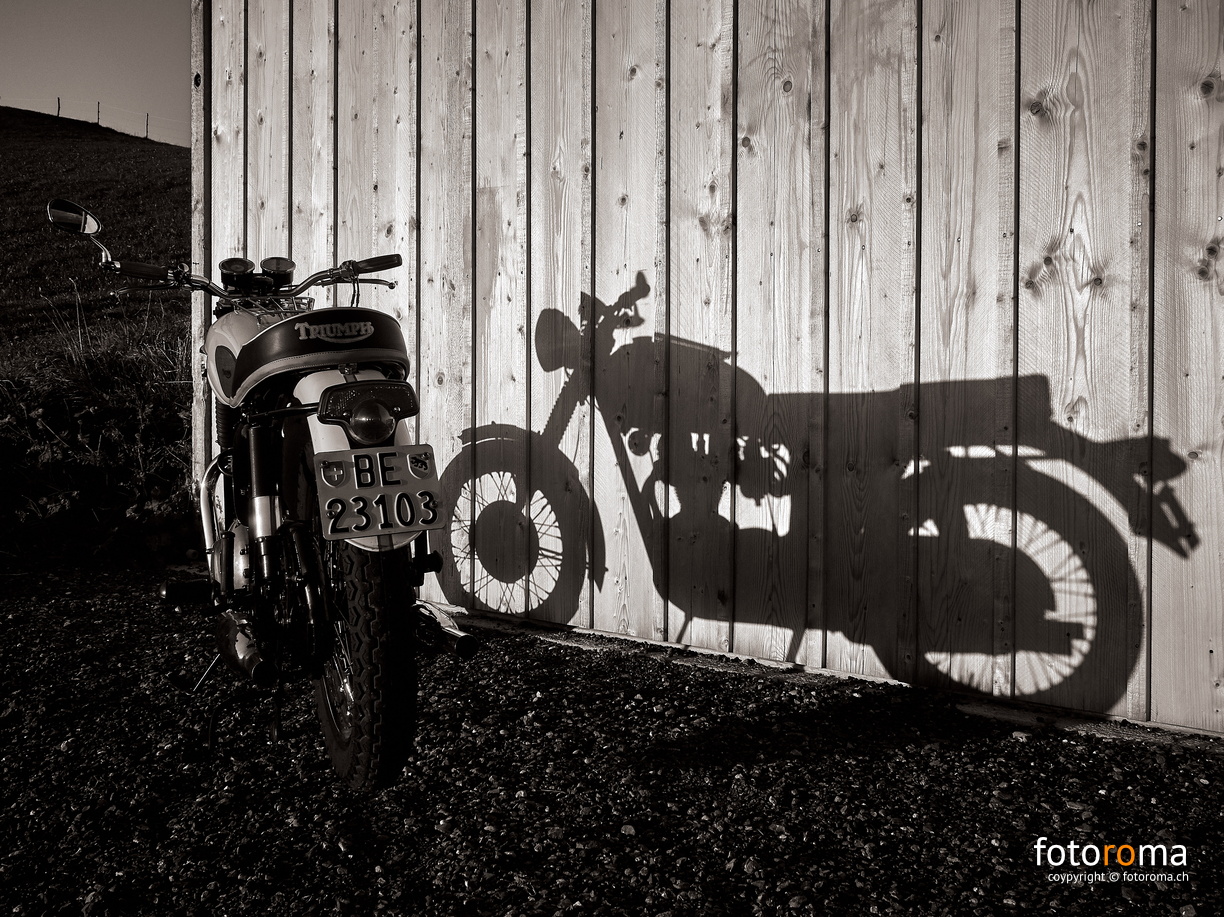 Shadow On The Wall
RM-2019-365-260.jpg
