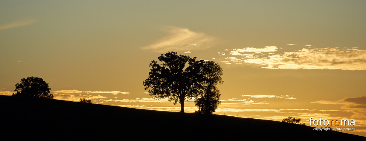 Baum am Horizont
	Hubel bei Milken
 RM-2019-365-266.jpg