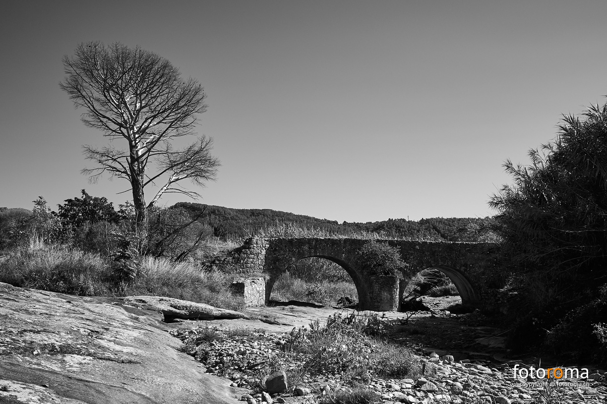 Alte Brücke
RM-2019-365-275.jpg