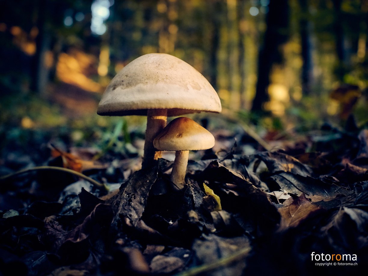 Undercover
 RM-2019-365-298.jpg