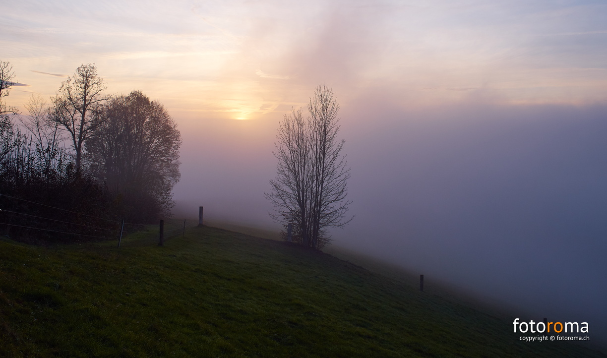 Nebelgrenze
 RM-2019-365-326.jpg