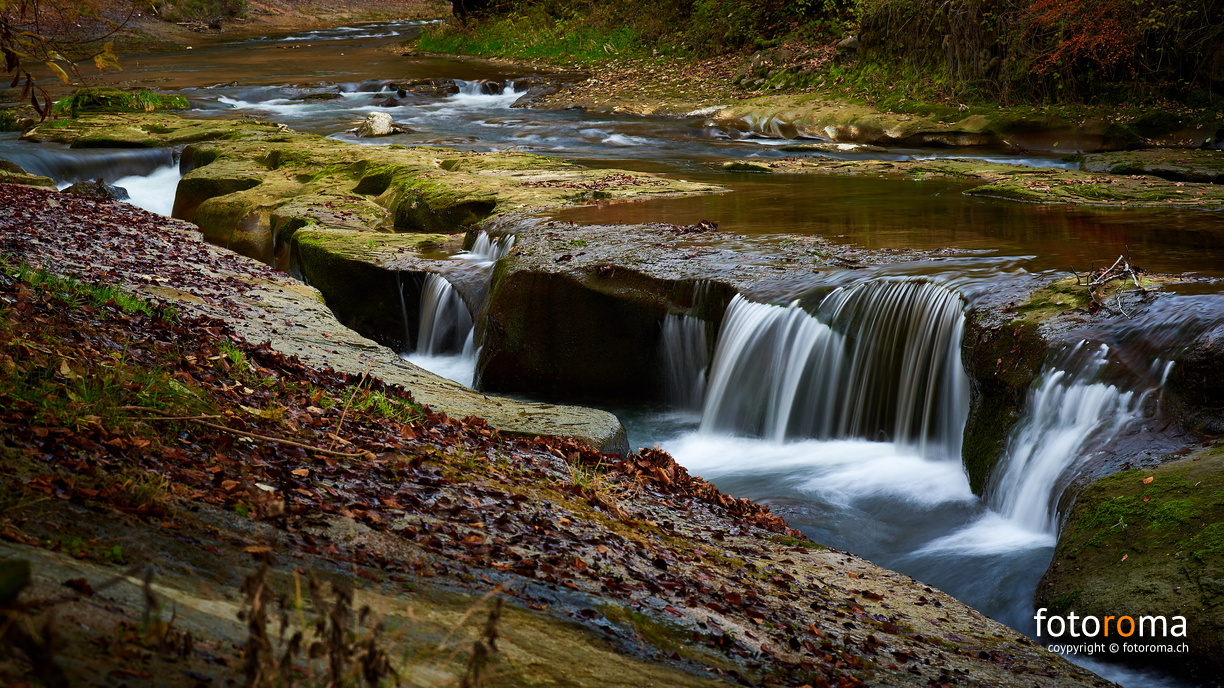 Schwarzwasser
 RM-2019-365-327.jpg