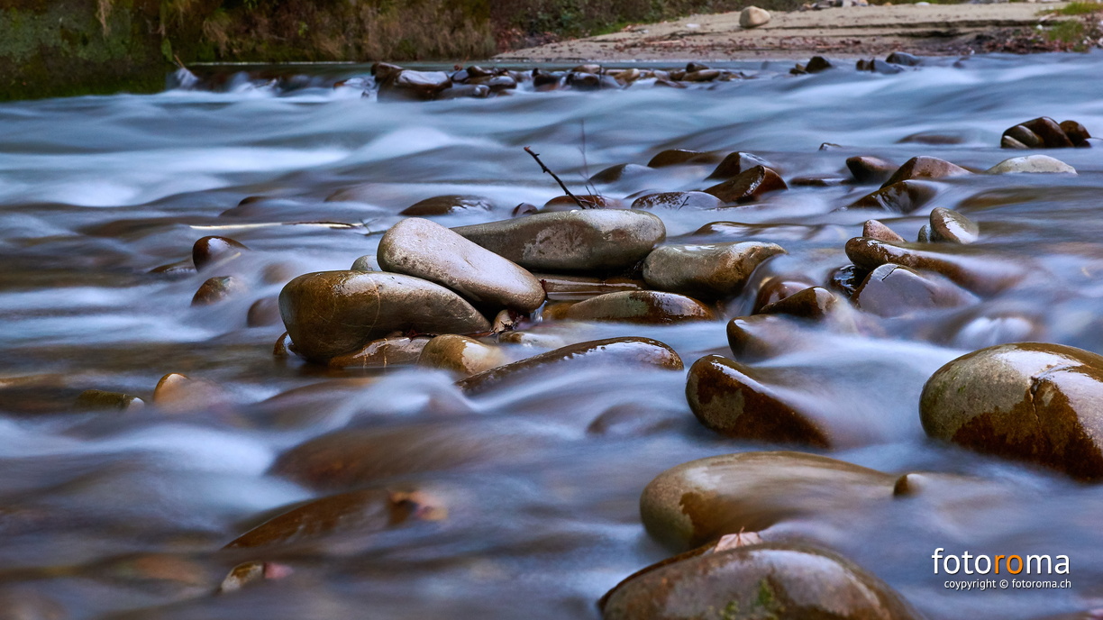 Rolling Stones
	Sense
 RM-2019-365-328.jpg