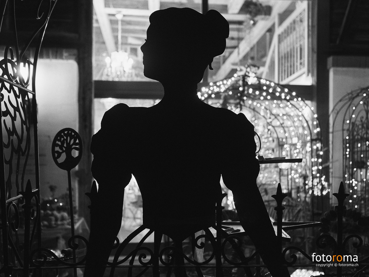 Silhouettes
 RM-2019-365-336.jpg
