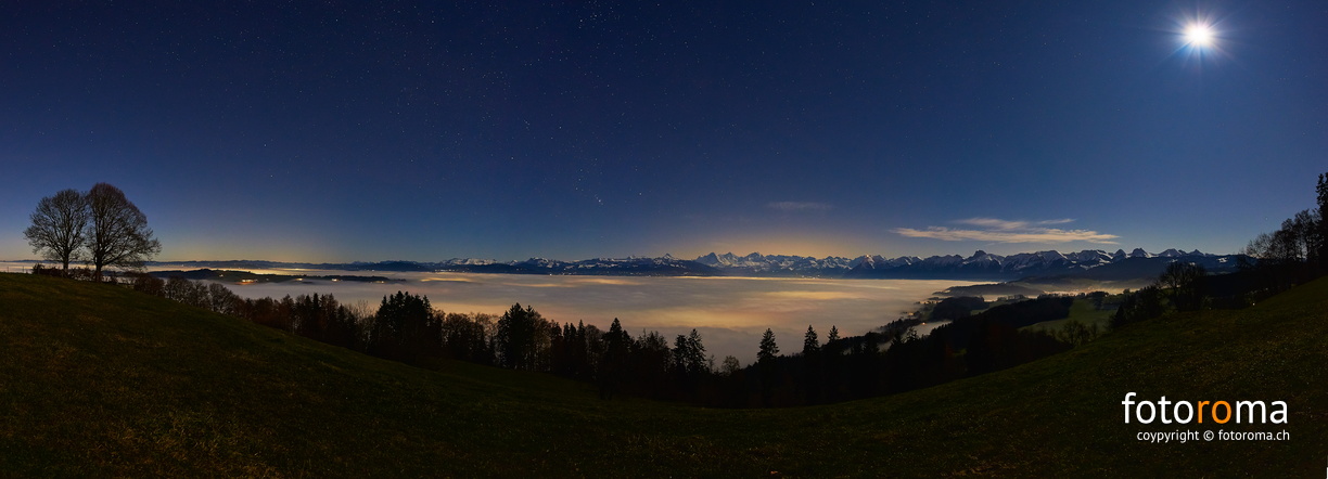 Moonlight
 RM-2019-365-339.jpg