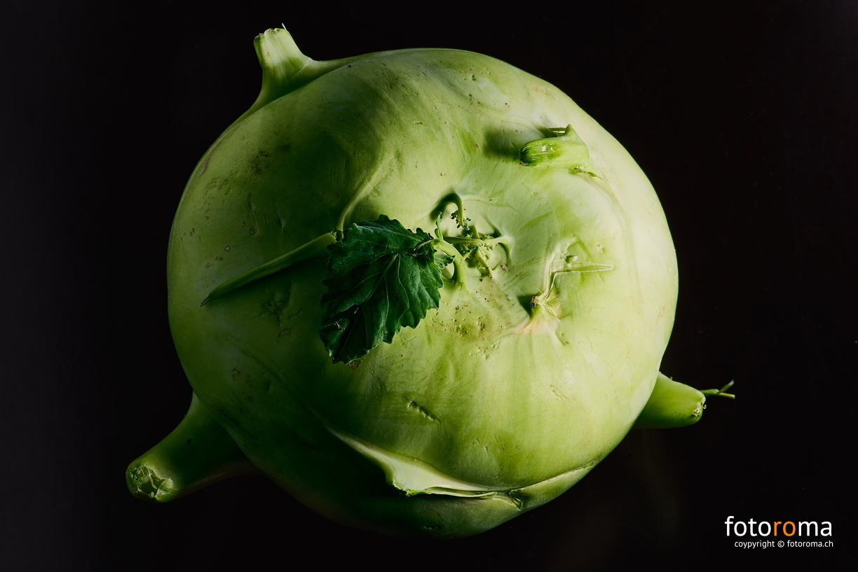 Shrek
 RM-2019-365-340.jpg