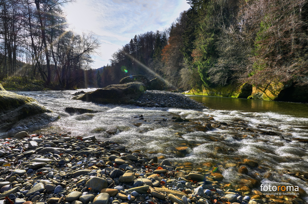 Sense
	zwischen Thörishaus und Schwarzwasserbrücke
 RM-2019-365-342.jpg