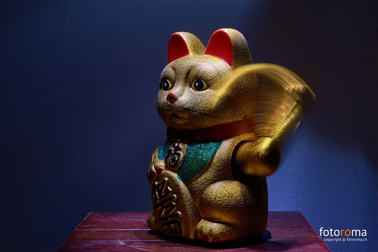 Maneki-neko
	Am Ziel!
	
	365 Fotos sind im Kasten und somit mein Projekt am Ende. Es hat mir einiges an Disziplin abverlangt, ich habe kreative Durststrecken und Höhenflüge erlebt, am Tag wie auch Nachts, bei Sonne, Regen und Schnee fotografiert, die Tage gezählt und viele schöne Orte besucht. Es war für mich eine gute Erfahrung und ich konnte meine fotografischen Fähigkeiten dadurch weiter entwickeln.
	Das tägliche Veröffentlichen der Fotos auf Facebook und Flikr hat mir den notwendigen Druck gegeben und die positiven Rückmeldungen und Likes haben mich motiviert jeden Tag weiter zu machen. Besten Dank euch allen dafür!
 RM-2019-365-365.jpg