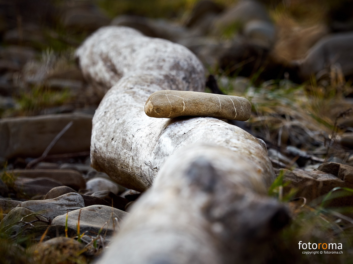 RM-2020.02.16-0107 - RM-2020.02.16-0107.jpg RM-2020.02.16-0107.jpg