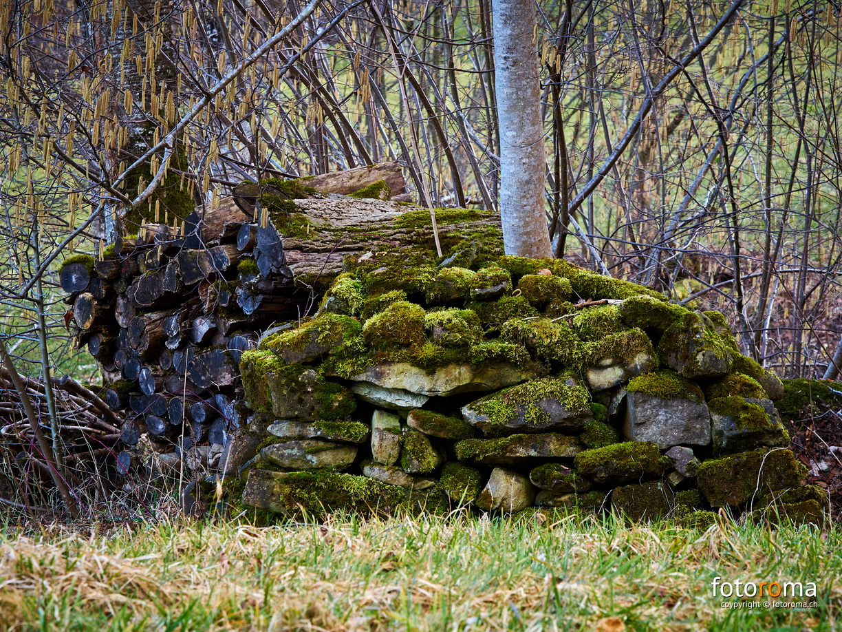 RM-2020.02.16-0109 - RM-2020.02.16-0109.jpg RM-2020.02.16-0109.jpg