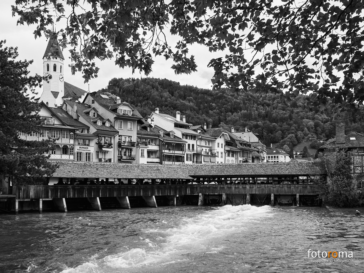 RM-2020.05.03-0217 - RM-2020.05.03-0217.jpg RM-2020.05.03-0217.jpg