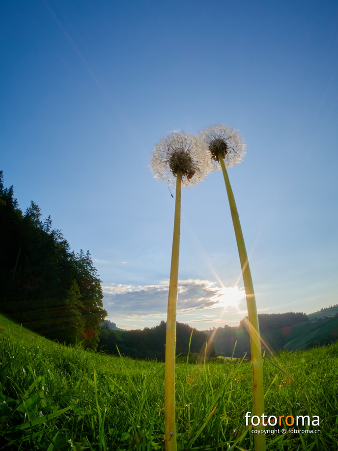 RM-2020.09.14-0428 - RM-2020.09.14-0428.jpg RM-2020.09.14-0428.jpg