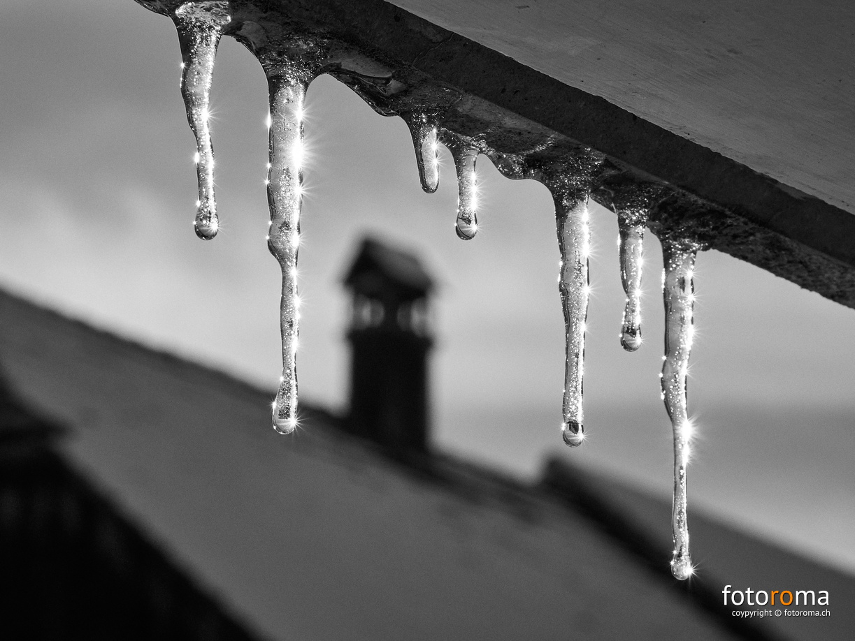 RM-2020.12.03-0493 - RM-2020.12.03-0493.jpg RM-2020.12.03-0493.jpg