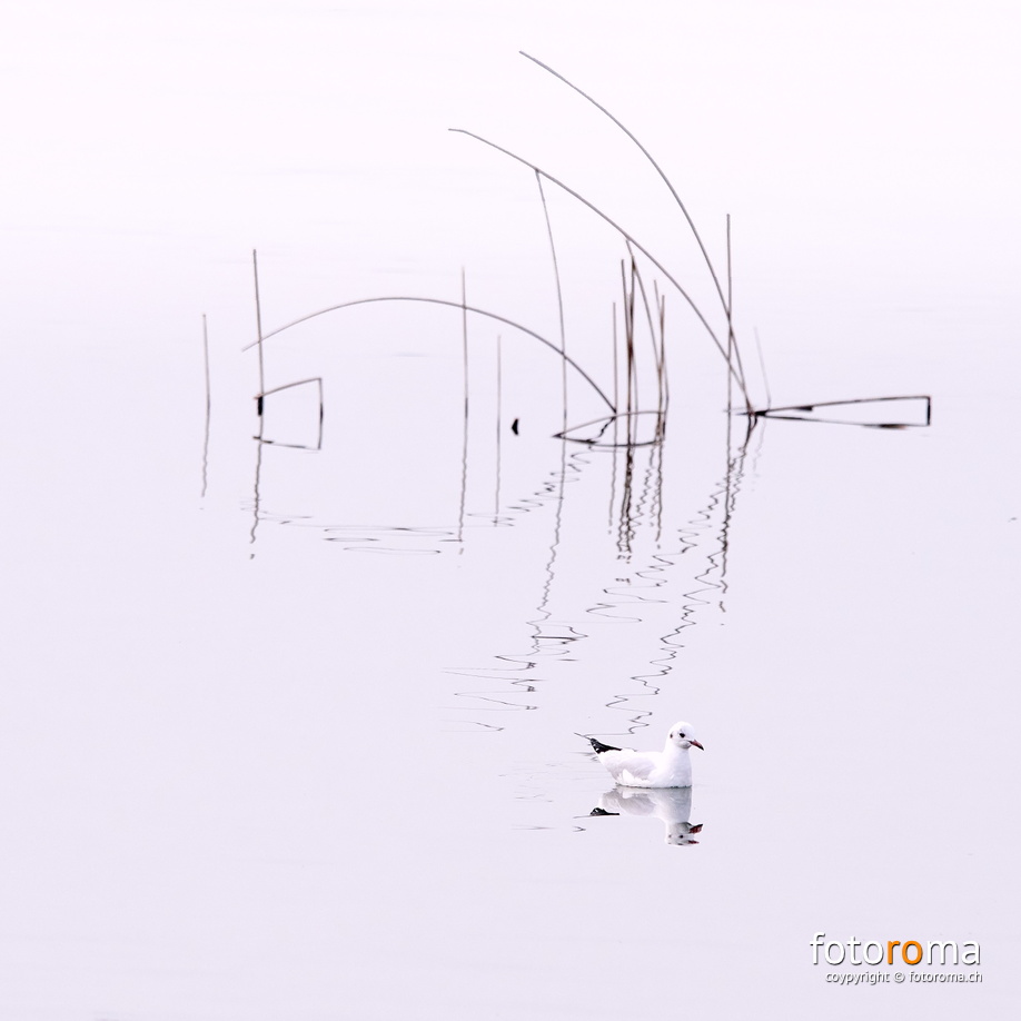 RM-2021.02.26-0033 - RM-2021.02.26-0033.jpg RM-2021.02.26-0033.jpg